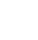 The B